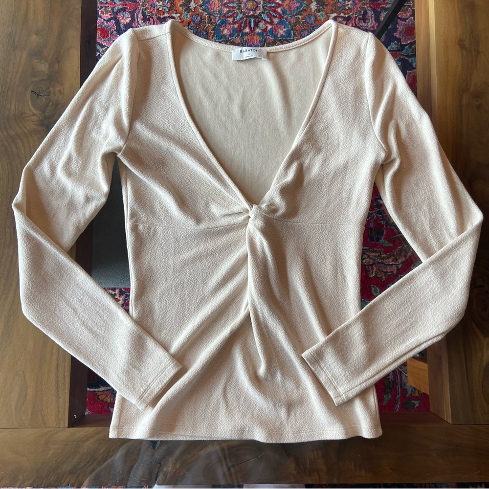 Aritzia Longsleeve V-neck